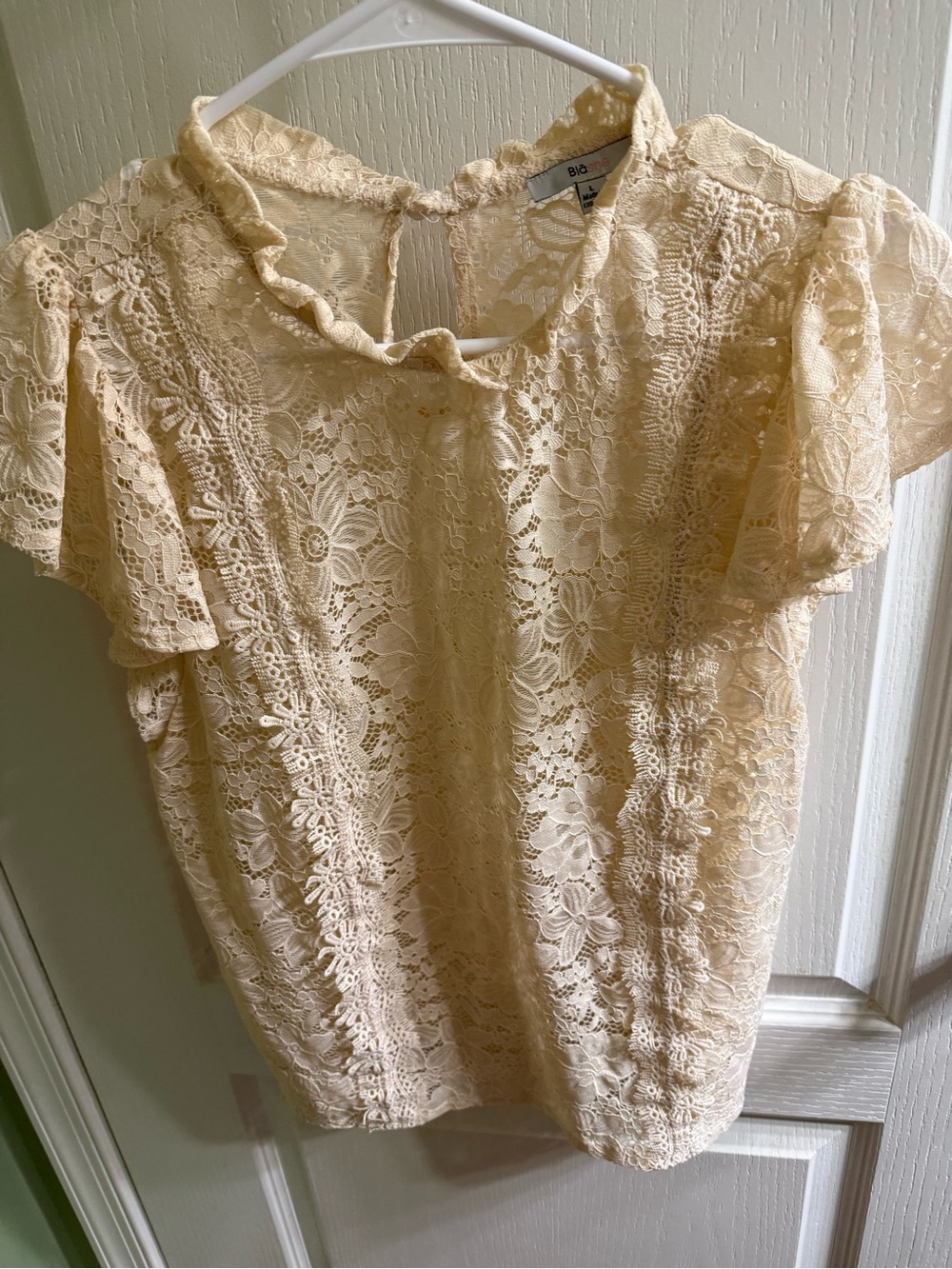Delicate Cream Lace Ruffle Neck Blouse